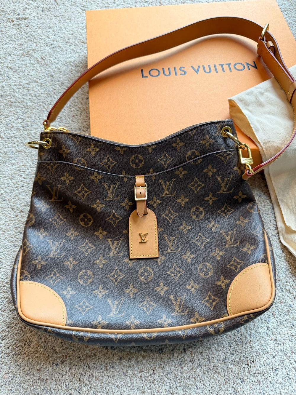 Louis Vuitton Monogram Canvas Hobo Shoulder Bag with Vachetta Trim